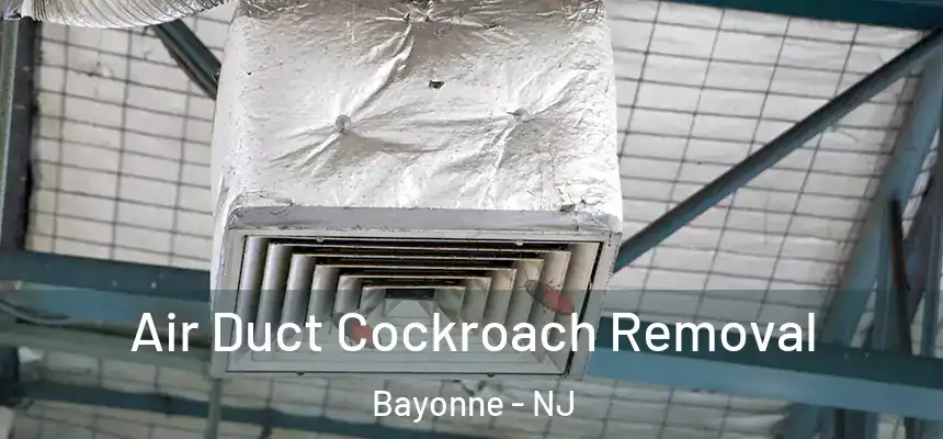 Air Duct Cockroach Removal Bayonne - NJ