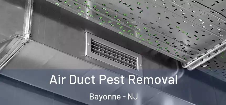 Air Duct Pest Removal Bayonne - NJ