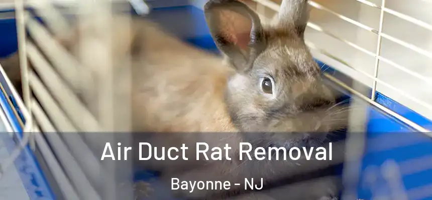 Air Duct Rat Removal Bayonne - NJ
