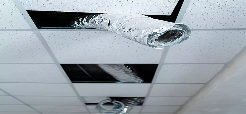 Our Air Duct Pet Hair Removal Services in Bayonne, NJ