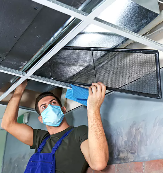 About Air Duct Bacteria Removal in Bayonne