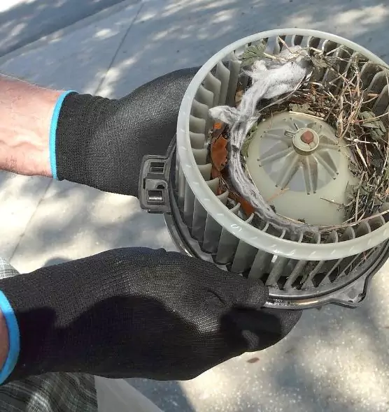 About Air Duct Rat Removal in Bayonne, NJ