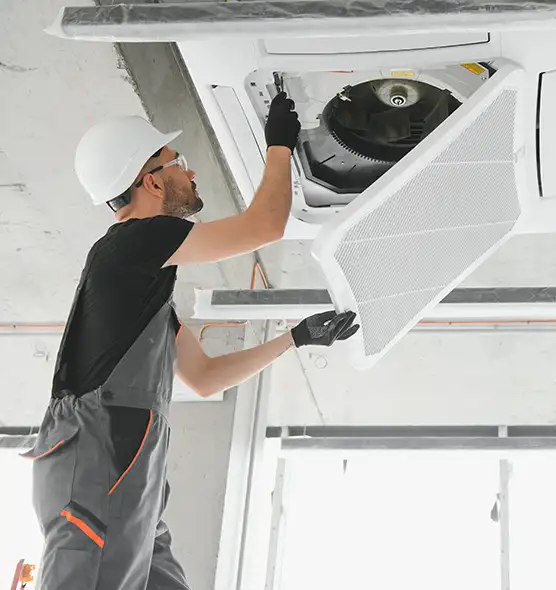 About Air Duct Rodent Removal in Bayonne, NJ