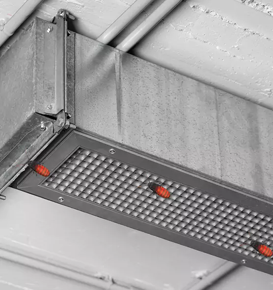 Affordable Insect Removal from Air Ducts in Bayonne, NJ