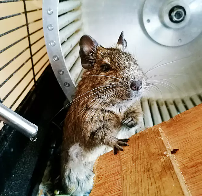 Why Homeowners & Businesses Trust Us Bayonne, NJ