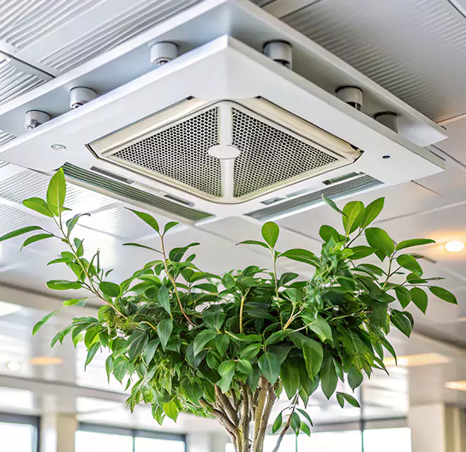 Why Homeowners & Businesses Trust Us in Bayonne, NJ